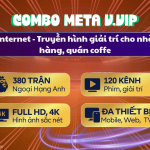 Combo Meta - V.VIP