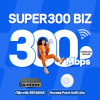 Super300 biz