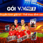 Gói truyền hình V.VIP 1